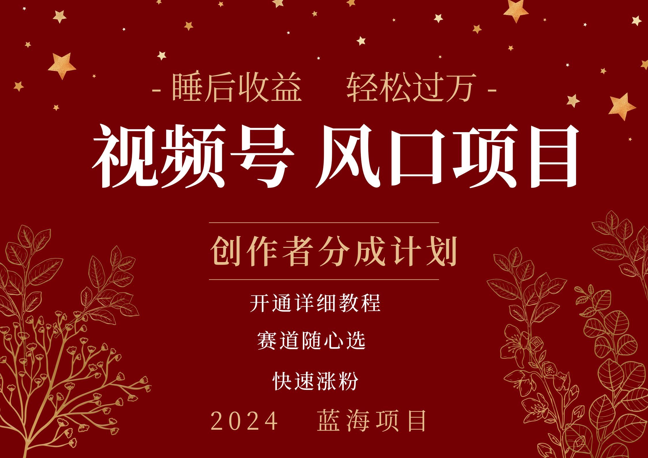 拥有睡眠收益的微信视频号大风口项目,轻松月入过万+,多赛道选择,可矩阵,玩法简单轻松上手