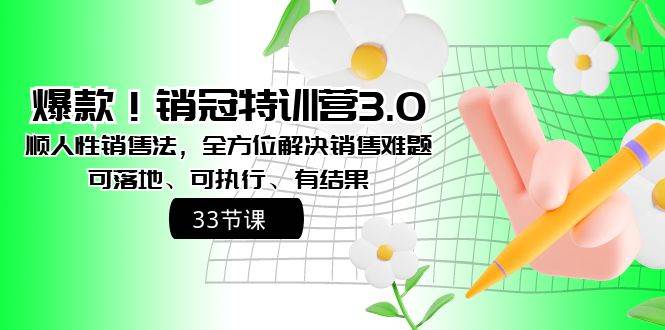 爆款!销冠特训营3.0之顺人性销售法,全方位解决销售难题、可落地、可执行、有结果