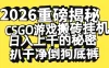 2026 开年重磅解密，CSGO 游戏搬砖挂机日入上千的秘密，把倒狗的底裤扒干【揭秘】