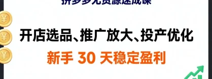 拼多多无货源速成课，开店选品、推广放大、投产优化，新手 30 天稳定盈利