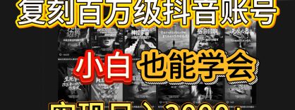 抖音百万爆款账号，一比一复刻内容教程，从0-1实操课，小白也能学会，复制爆款，月入10w+