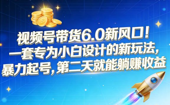 视频号带货 6.0 新风口！一套专为小白设计的新玩法，暴力起号，第二天就能躺赚收益